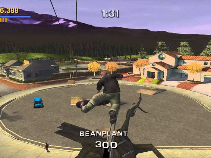 4. "Tony Hawk