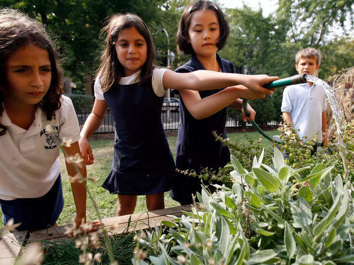 2008: Students from the Louisa May Alcott Elementary School in Chicago, Illinois, watered herbs in the school