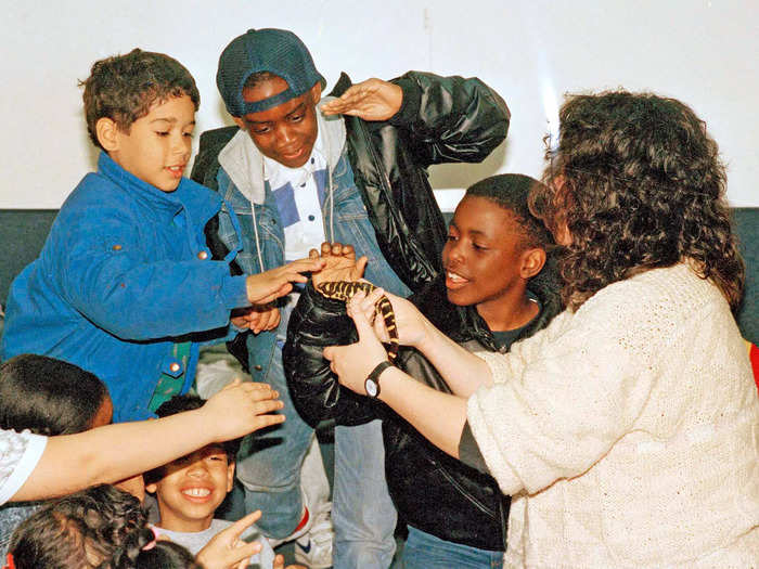 1988: Second graders from P.S. 27 in New York City pet a salamander at the Bronx Zoo.