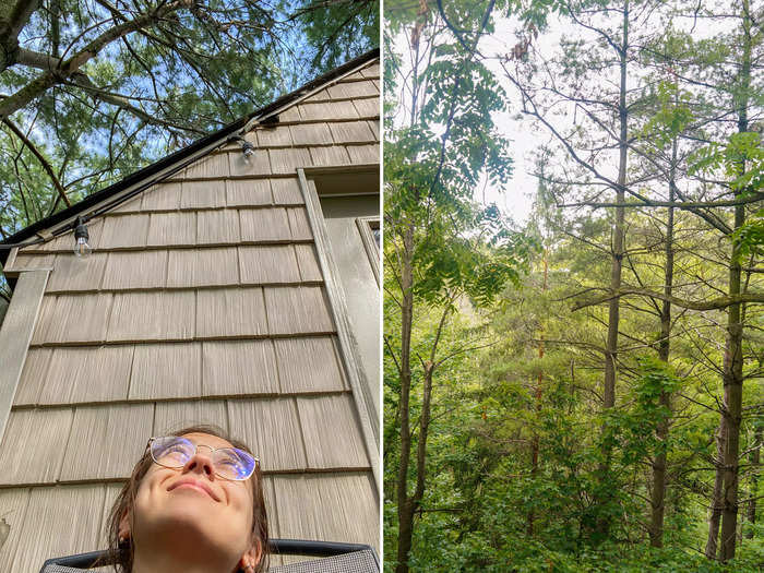 Also on the top floor was a balcony where I sat and enjoyed the view of the forest in front of me.