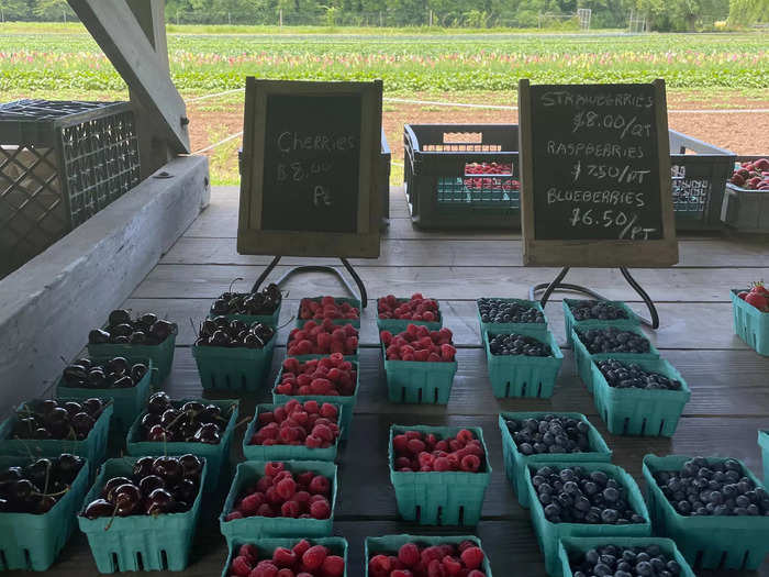 Prices at farm stands were all over the place, from what I saw. But these berries were particularly pricey at $6.50, $7.50, and $8 each.