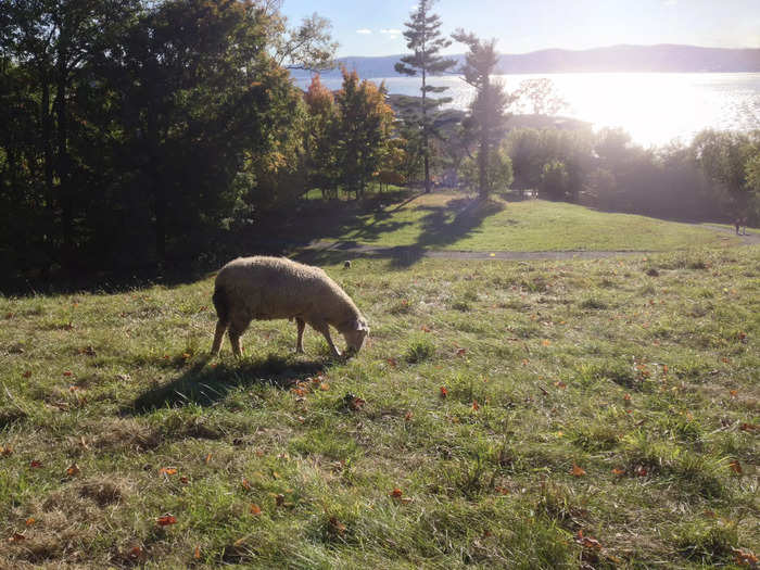 In Tarrytown, we visit this nonprofit farm for gardening classes and to learn about sustainable agriculture.