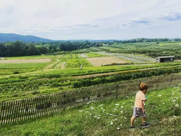 In the summer, we go berry-picking at Fishkill Farms.