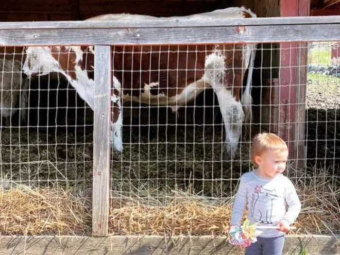 My kids love seeing sheep, horses, and more animals up close at this family-friendly farm.