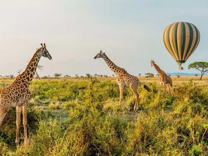 … soar in a hot air balloon above the Serengeti, and vacation almost exclusively in several Four Seasons hotels around the world.