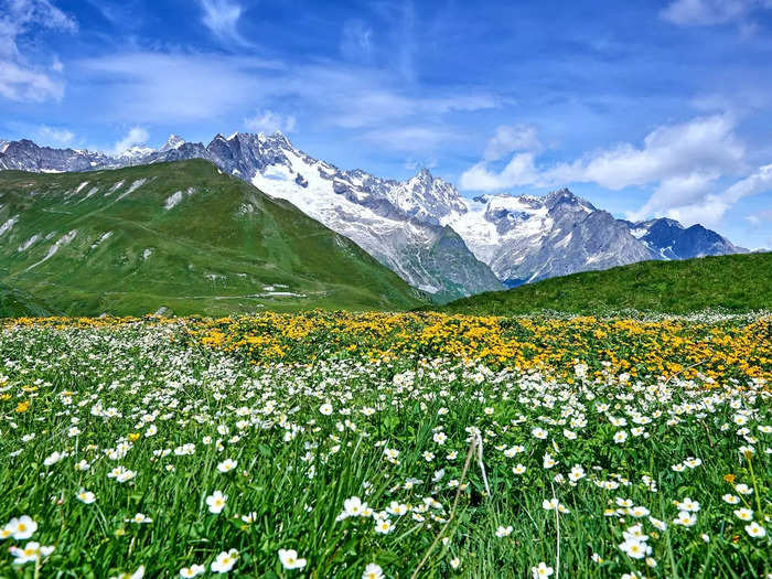 I was lucky enough to view the Swiss Alps a few years ago, and I saw the resemblance. Both ranges had green rolling hills that eventually turned into snowcapped mountain peaks.