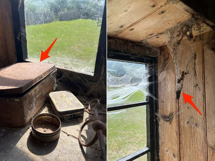 In place of horses, spiders made themselves at home in the stable, creating some of the biggest cobwebs I