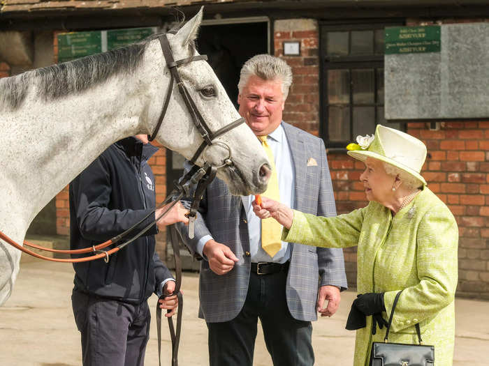 The Queen owned more than 100 horses in a given year.