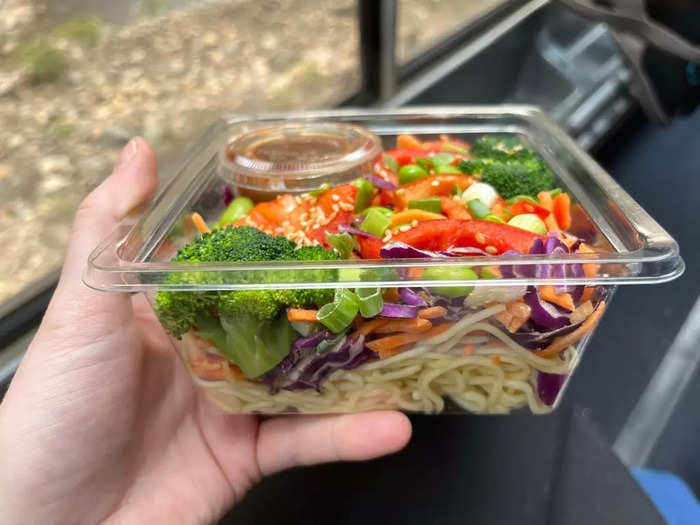 For lunch, I grabbed an Asian noodle bowl for my first serving of vegetables on board the train.