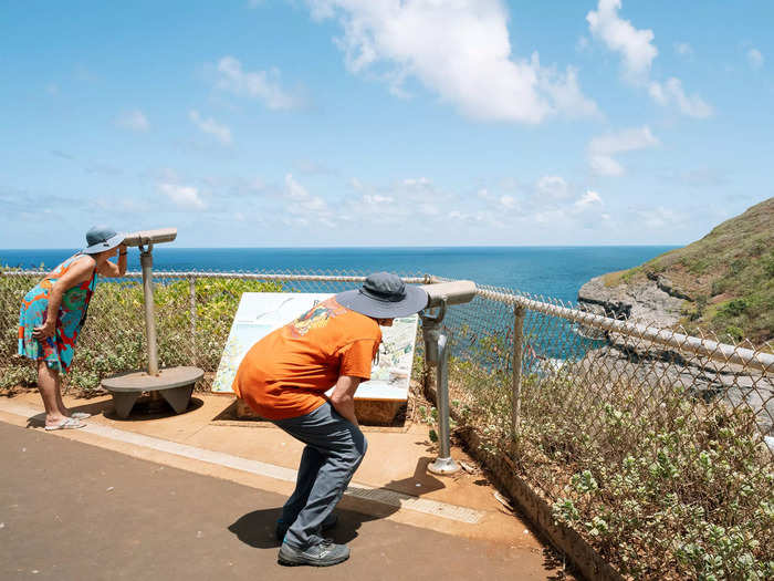 Say hello to animals at the Kilauea Point National Wildlife Refuge.