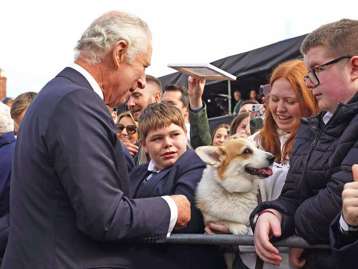 A run-in with a corgi seemed to bring a smile to the king