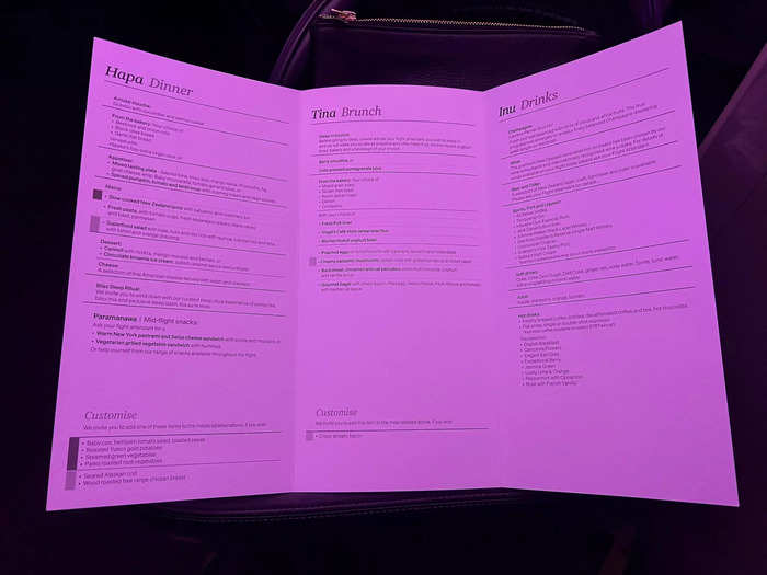 Before departure, the flight attendants came through the cabin asking for our drink and food orders. There was a menu at each seat, which had things like lamb, pasta, spiced pumpkin, tomato, and lentil soup.