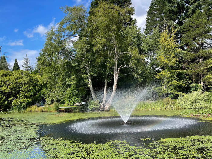 For a leisurely walk, we explored the grounds of the VanDusen Botanical Garden, which I think is a great place to find a quiet moment in the city.