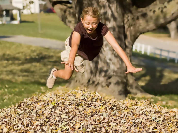 There are piles of leaves to jump in.