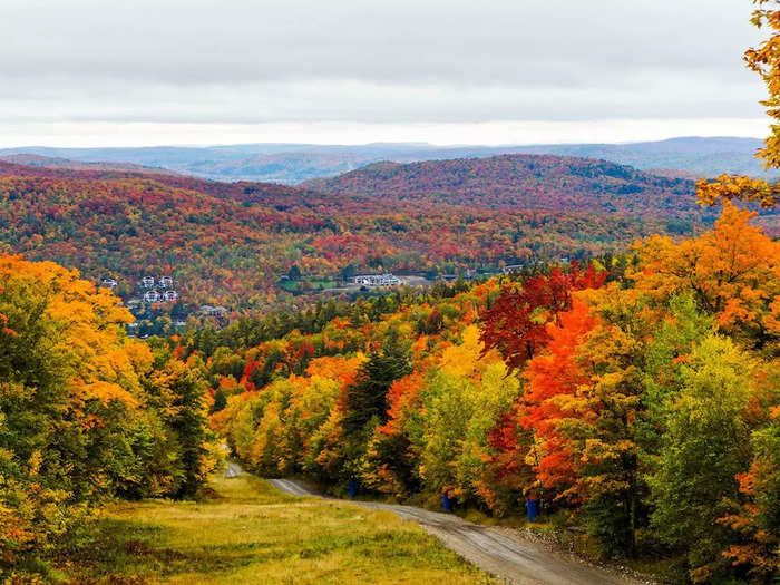 The foliage is stunning.