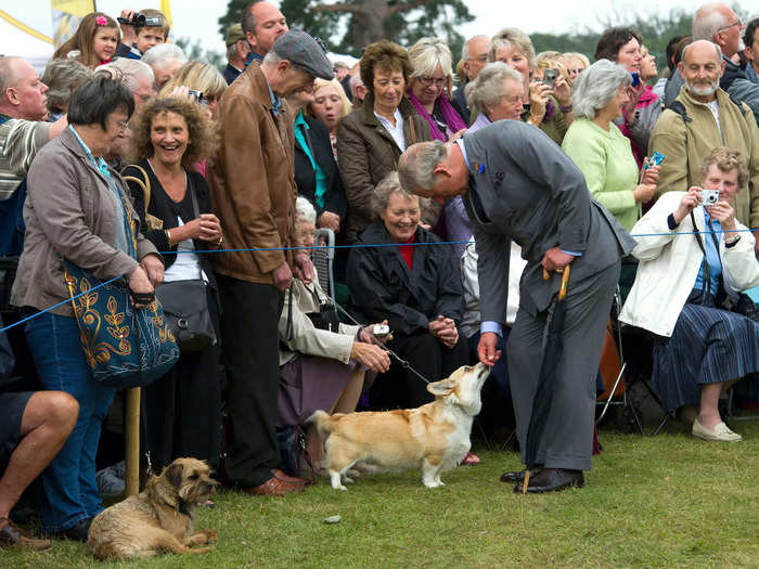 Just as his mother Queen Elizabeth II was, Charles is a fan of corgis.