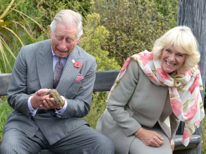 When a bumblebee flew into his suit while he held a tuatara in 2015, Charles took it in stride.