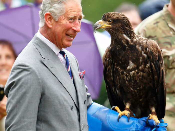 That same year, he acquainted himself with a bald eagle.