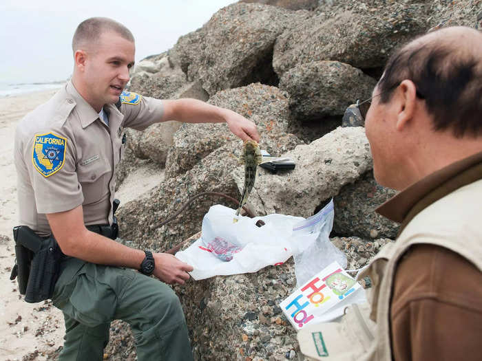 11. Fish and game wardens: Employment is projected to decline 3.5% from 2021 to 2031.