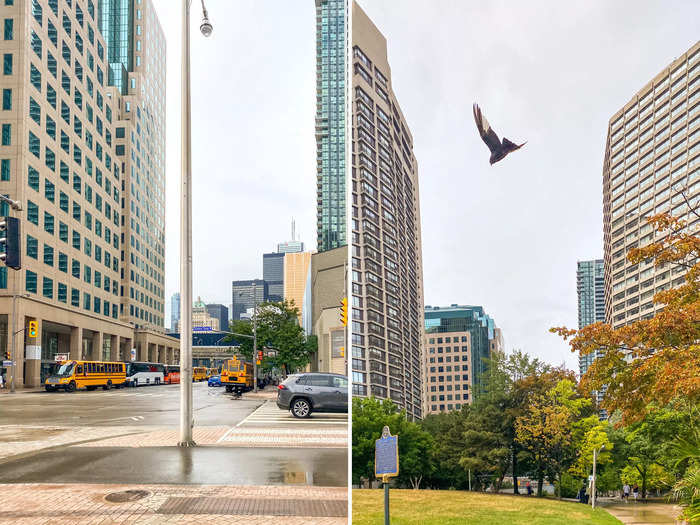 I took an Uber from Toronto to get to the dome. It was already raining when I left the city, and I was worried how the weather might hinder my glamping stay.