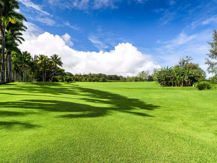 Not surprisingly, some parts of the property look like a golf course.