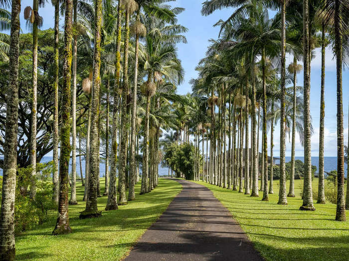 The drive up to the house immediately gives you a sense of how gorgeous the area is.