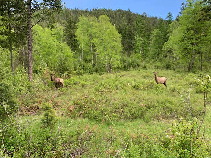 A dude ranch is an all-inclusive western-style vacation with meals, accommodations, and activities included. Horseback riding is often a focal point with group trail rides, lessons, and rodeo skill classes offered.