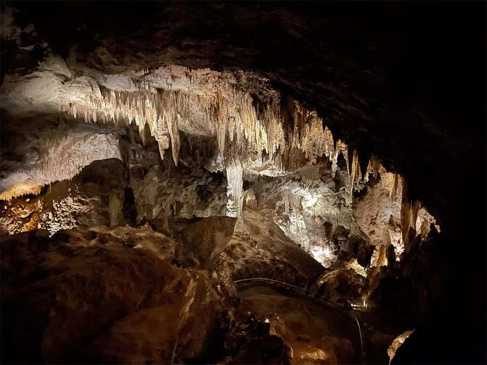 We watched thousands of bats fly out of Carlsbad Caverns to hunt for prey.