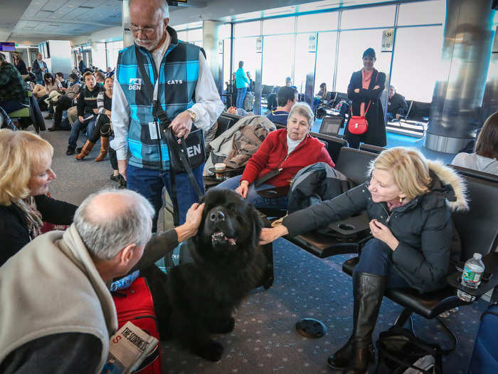 "There are people that are definitely not dog-people or are afraid of dogs, and our teams are very respectful of that," Grahn said.