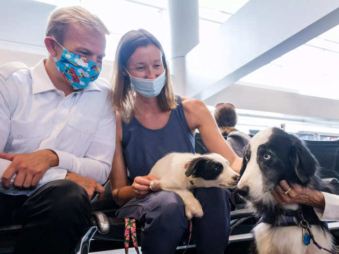 While Grahn says the dogs are hugely popular, she says there are some passengers that don