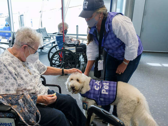 Therapy dogs provide roaming emotional support for travelers, rather than focusing on a specific group.