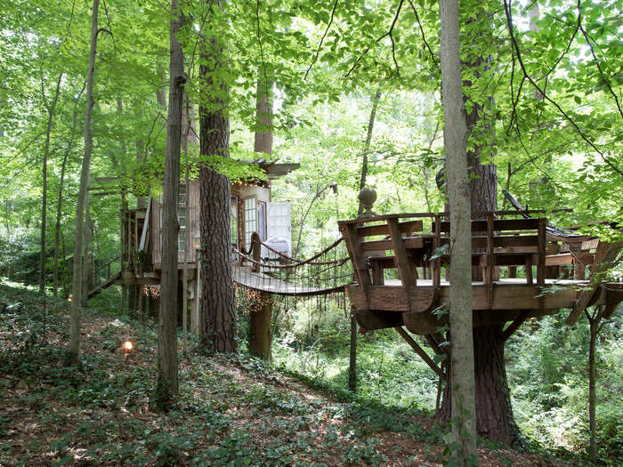 The deck surrounds a tree known as the "Old Man," a more than 100-year-old Southern Short-Leaf Pine Tree, which is the largest of the trees supporting the treehouse.