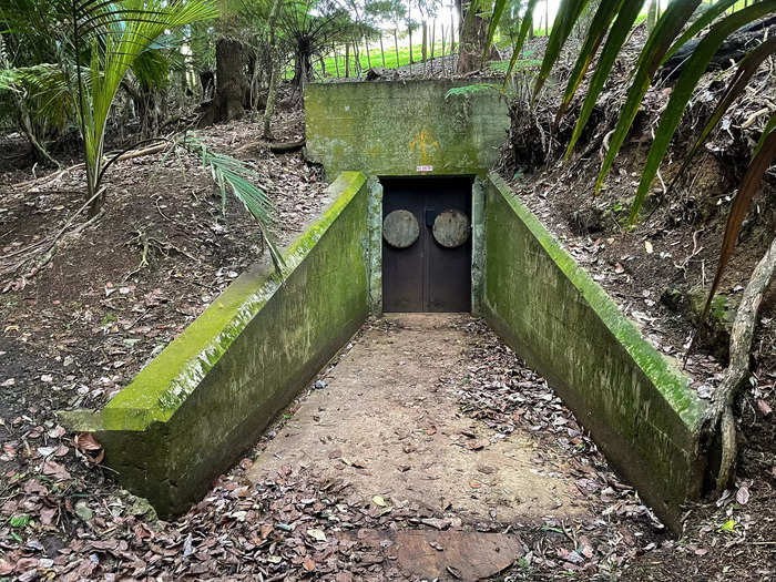 In New Zealand, a forested opening at the end of Waiheke Island leads to underground tunnels built during World War II.