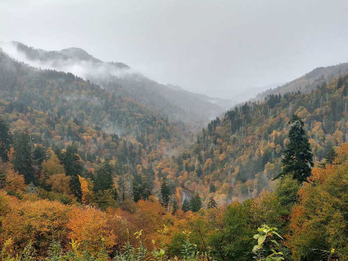 For better or for worse, there are very few places in the US like Pigeon Forge, Tennessee.