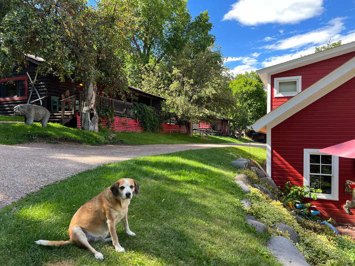 On arrival, around 4 p.m. on a Tuesday afternoon, I checked in at the red-and-white farmhouse that doubles as a lodging office and gift shop. I found out quickly the ranch is pet-friendly: Guests