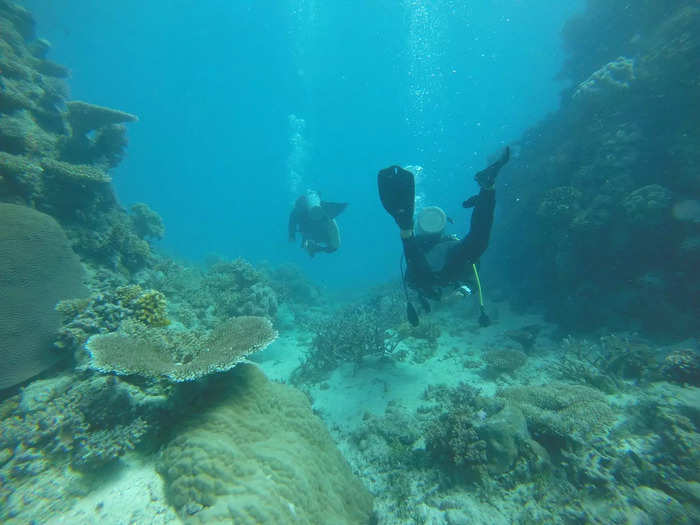 These last two dives were in shallower waters. As I frog-kicked around the reef, I could spot some coral bleaching. I