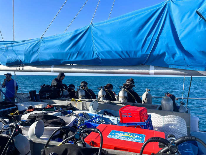 The moment we arrived, I was eager to get into the water. I squeezed into a wetsuit, checked my diving gear, and before I had time to process it, I was swimming in the Great Barrier Reef.