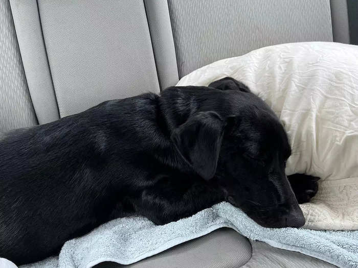 She was much happier with pillows around her.