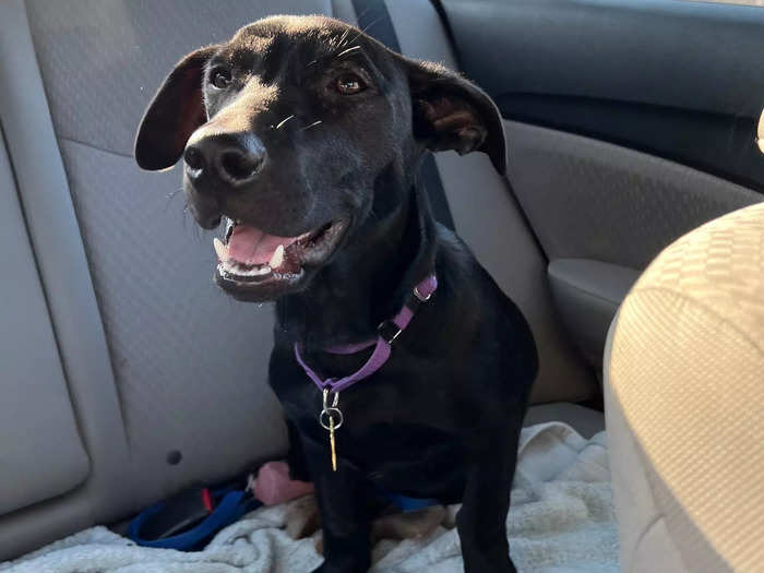 We emptied the backseat for her, but that made Rory nervous and uncomfortable.