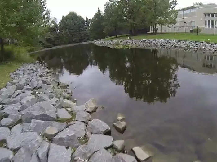 The estate also features a pond with fish.