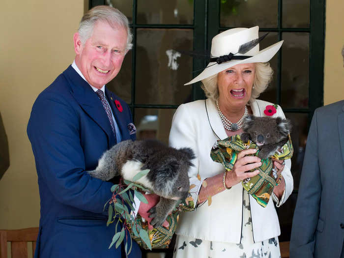 "Their facial expressions really do say it all," Rooke said of his photo showing Charles and Camilla holding koalas in Australia in 2012.