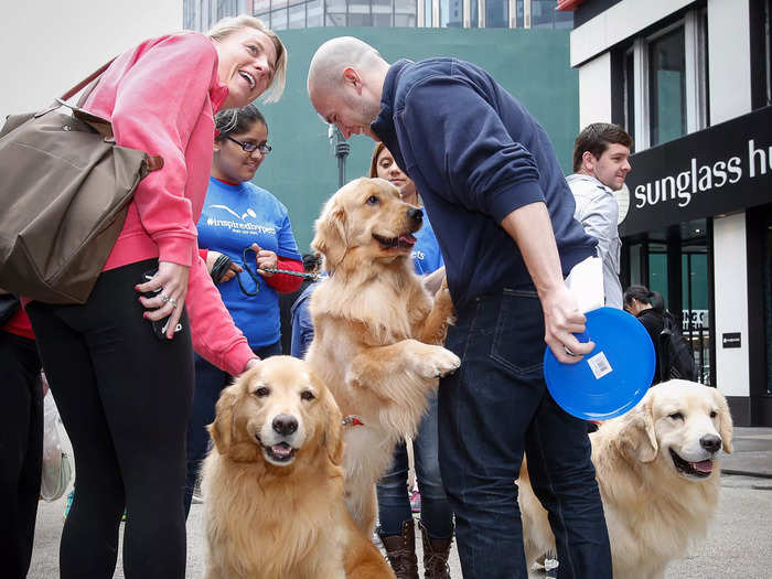 You can stop by an animal shelter to play with — or adopt — a furry friend.