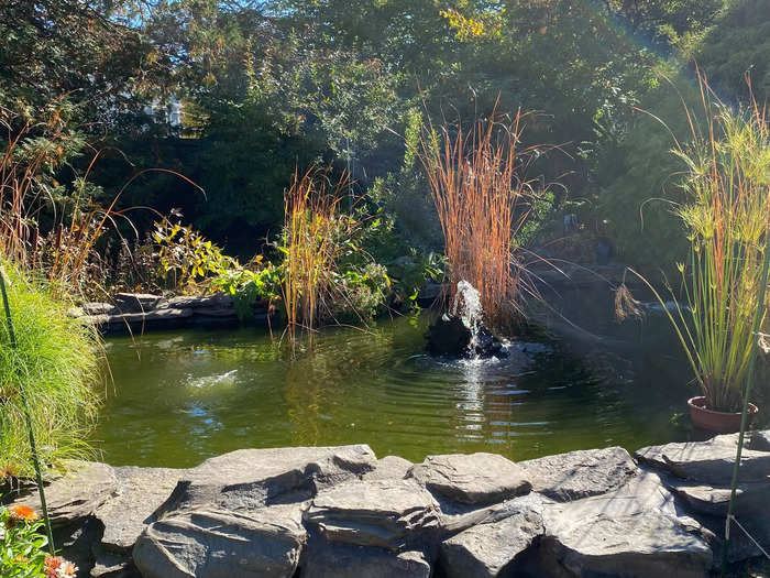 I found an unexpectedly peaceful garden and pond behind the Ropes Mansion, with no Halloween decor in sight.