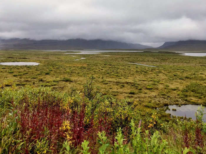 Unlike McCarthy Road, I thought the Denali Highway was way worse than I expected it to be.