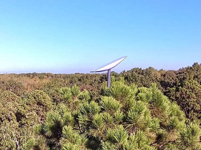 One Starlink user managed to strap the dish to a 100-foot-tall pine tree.