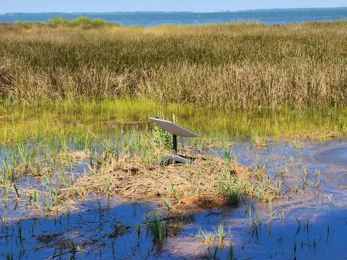 This Starlink dish had a close shave when the land surrounding it flooded.