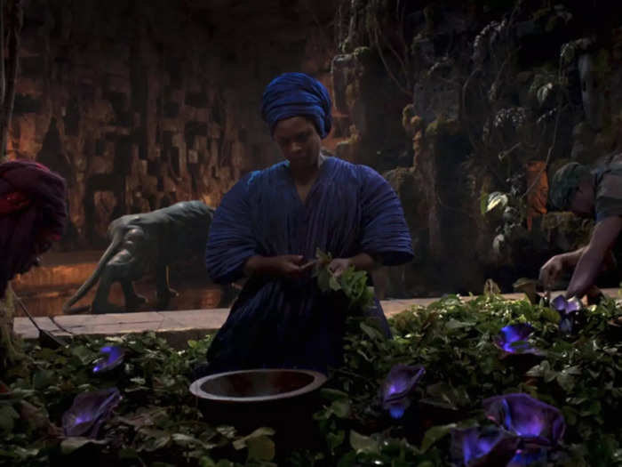 The garden of the heart-shaped herb which grants the powers of the Black Panther has been destroyed.