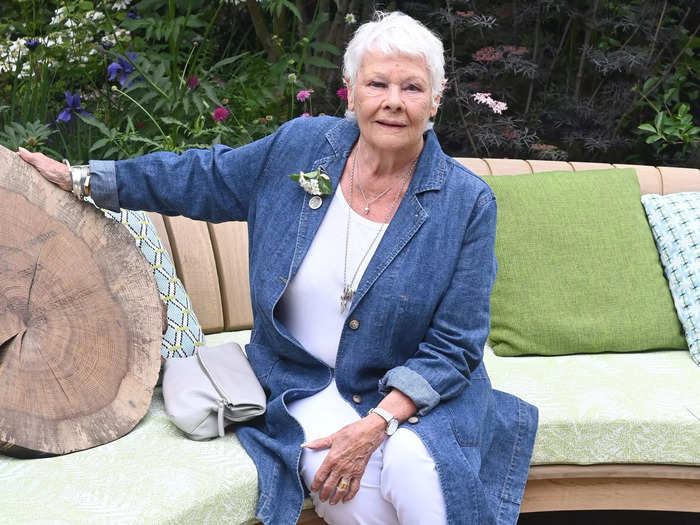 Dame Judi Dench told The Telegraph that she thinks the series should add a disclaimer.