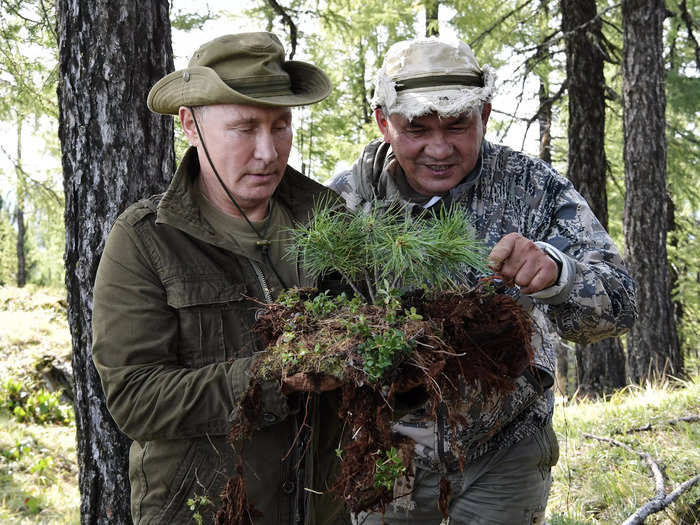 As the president of the Russian Geographical Society, Shoigu would also indulge Putin