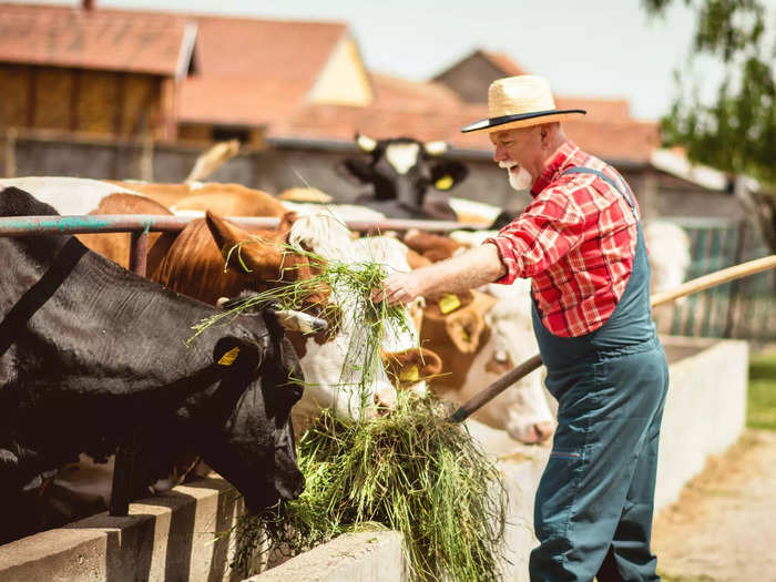 1. Animal production and aquaculture